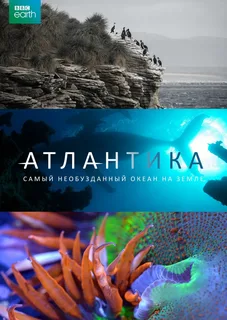 Атлантика: Самый необузданный океан на Земле