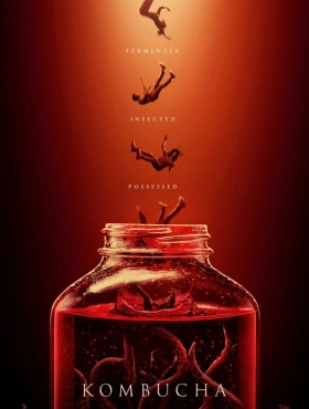 Чайный гриб