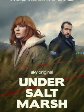 Под солончаком